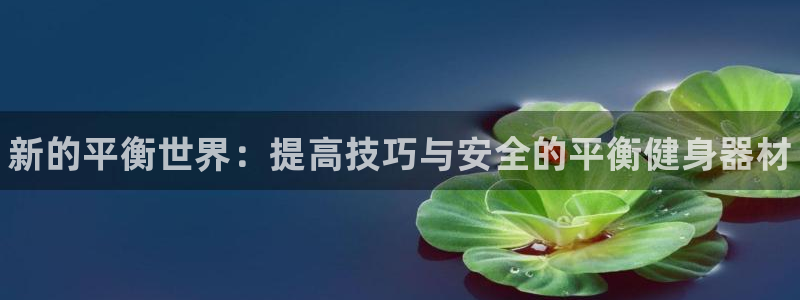 富联娱乐服务站电话:新的平衡世界:提高技巧与安全的平衡健身器