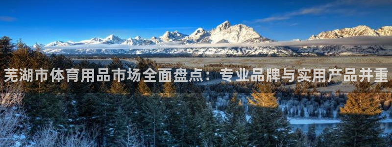 富联平台官网下载:芜湖市体育用品市场全面盘点:专业品牌与实用